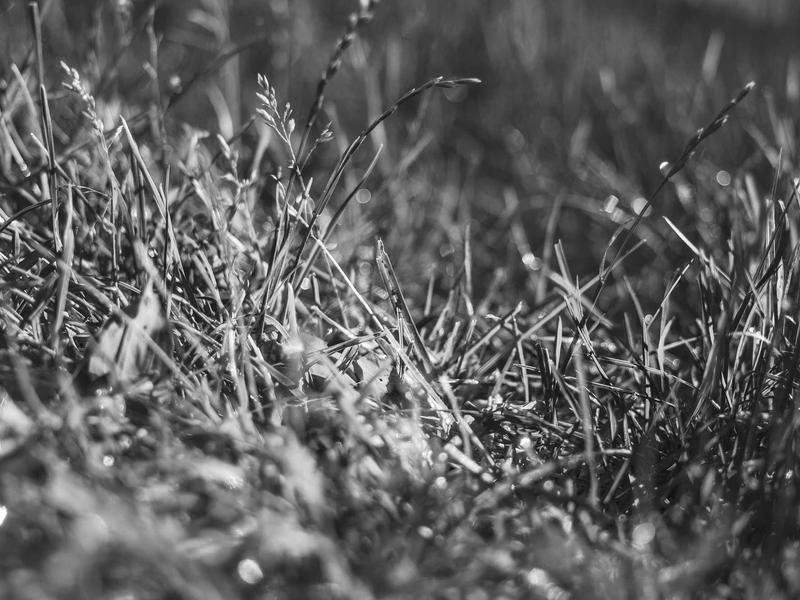 雨燕官网下载,突破网络限制